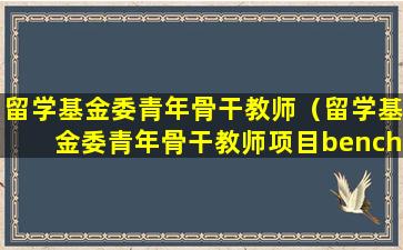 留学基金委青年骨干教师（留学基金委青年骨干教师项目bench fee资助多少）